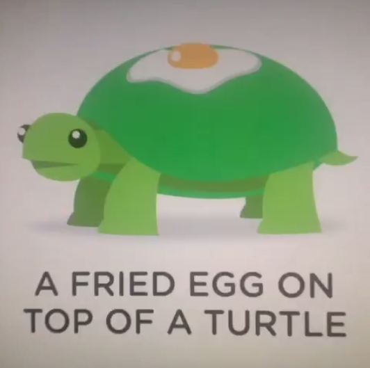 egg turtle